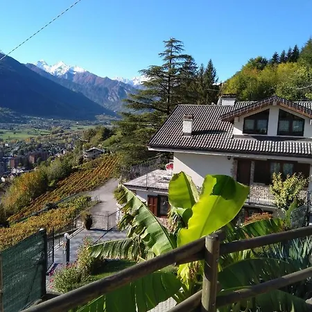 Bioula Cir N 0247 Aosta