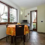 Bioula Cir N 0247 *