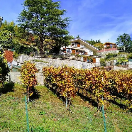 Bioula Cir N 0247 Aosta