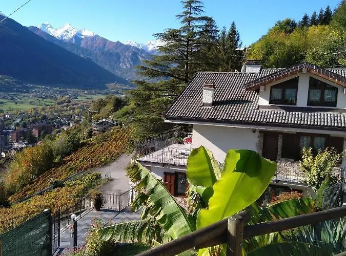 Bioula Cir N 0247 Aosta